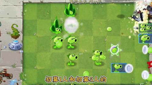 魔豆神器爆料视频,视频爆料带你领略神奇魔力  第2张