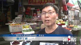 广电爆料新闻,揭秘娱乐圈最新热点事件  第1张