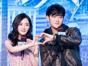 爆料一哥杨幂视频大全集,从青春校园到时尚女王，全方位展现演技魅力